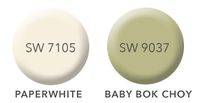 how to choose the right white paint